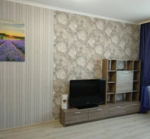 Фото 4. Однокімнатна квартира, оренда. Київ Дарницкий