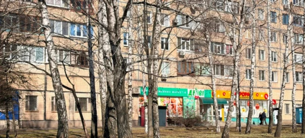 Фото 4. Коммерческая, продажа. Кривой Рог Покровський