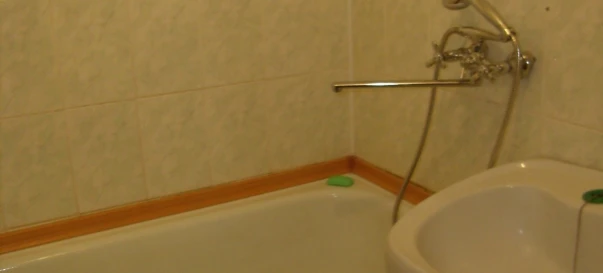 Фото 4. Однокомнатная квартира, аренда. Кривой Рог Долгинцевский