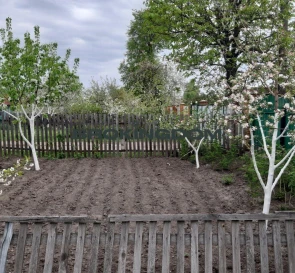 Photo 2. House, for sale. Khotianivka Zhovtneva