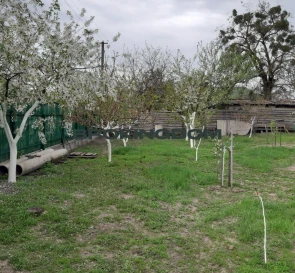 Photo 4. House, for sale. Khotianivka Zhovtneva