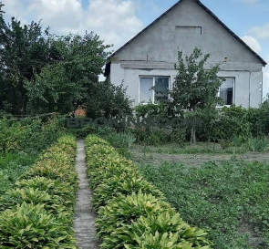 Фото 2. Будинок, продаж. Гурівщина Польова