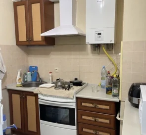 Фото 5. Однокомнатная квартира, продажа. Киев Деснянский район, Лесная