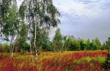 Foto Terreno, en venta. Zarichany Зарічани