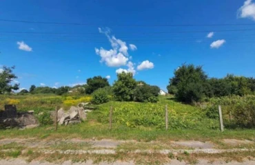 Фото Ділянка, продаж. Дівички Дружби