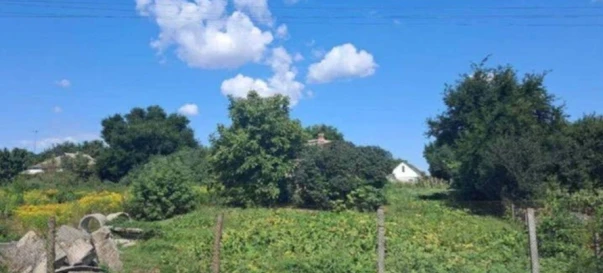 Фото 2. Ділянка, продаж. Дівички Дружби