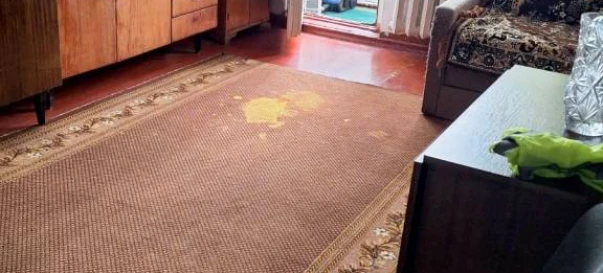 Фото 4. Однокомнатная квартира, аренда. Житомир Витрука