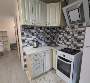 Photo 2. One-Room flat, to rent. Petrivske Лесі Українки