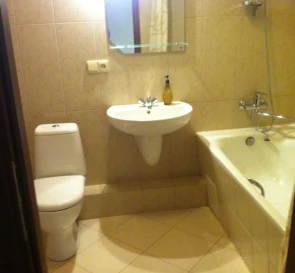 Photo 3. One-Room flat, to rent. Kyiv Darnytskyi