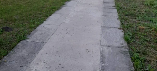 Fotografie 2. Casă, de vânzare. Novopil Новопіль