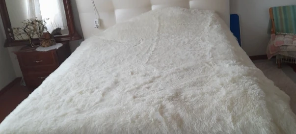 Fotografie 3. Casă, de vânzare. Novopil Новопіль