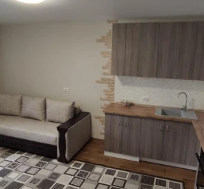 Photo 3. One-Room flat, to rent. Kyiv Darnytskyi