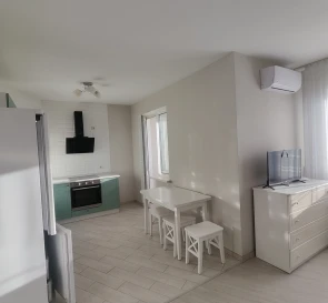 Фото 4. Однокомнатная квартира, продажа. Киев Голосеевский, Ипподром