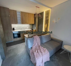 Photo 2. One-Room flat, to rent. Kyiv Shevchenkivskyi