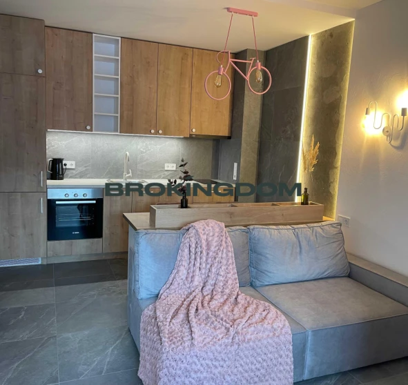 Photo 1. One-Room flat, to rent. Kyiv Shevchenkivskyi