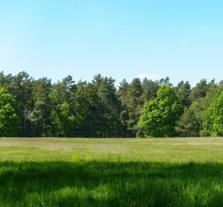 Фото 2. Участок, продажа. Дениши Дениші