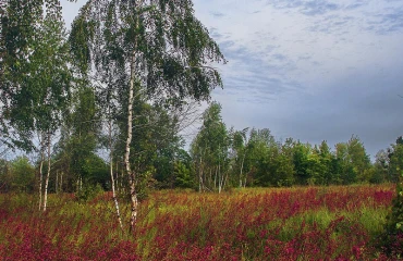 Фото Участок, продажа. Дениши Дениші