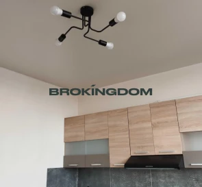 Фото 3. Однокімнатна квартира, продаж. Київ Дніпровський