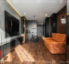 Фото 2. Однокомнатная квартира, продажа. Минск Белградская