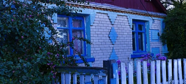 Photo 1. House, for sale. Zhytomyr Пулини с.Грузливець