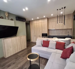 Фото 2. Однокомнатная квартира, аренда. Киев Шевченковский, Политехнический институт