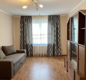 Photo 2. One-Room flat, to rent. Kyiv Darnytskyi