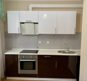 Photo 4. One-Room flat, to rent. Kyiv Darnytskyi