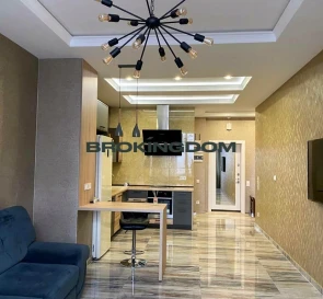 Photo 2. One-Room flat, to rent. Kyiv Pecherskyi