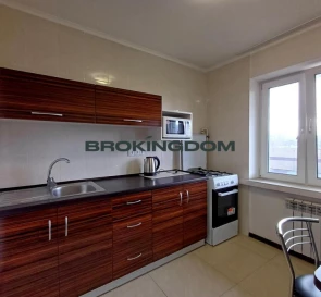 Photo 5. One-Room flat, to rent. Kyiv Pecherskyi