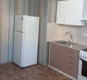 Zdjęcie 4. Kawalerka mieszkanie, do wynajęcia. Kyiv Darnytskyi