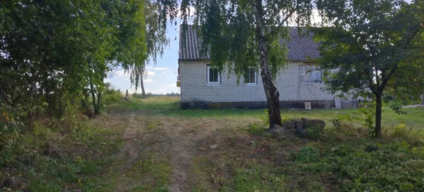 Foto 2. Casa, en venta. Pisky Шевченка