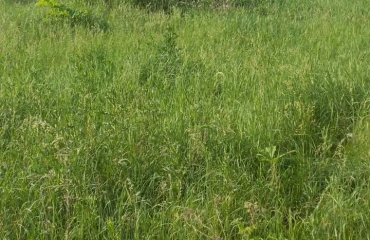 Photo Lot, for sale. Zhytomyr 1-i Shchorsa