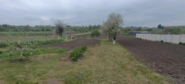 Фото 4. Дом, продажа. Лещин Ліщин