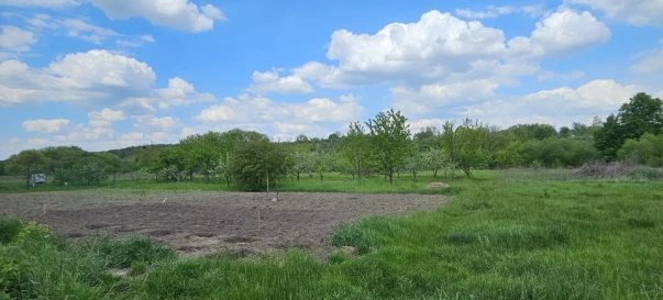 Фото 4. Будинок, продаж. Станишівка Незнайко