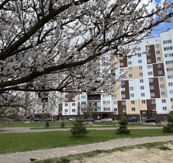 Photo 1. One-Room flat, for sale. Sofiivska Borshchahivka Sviatoshynska
