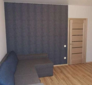 Photo 5. One-Room flat, to rent. Poltava Шевченковский (Октябрьский)