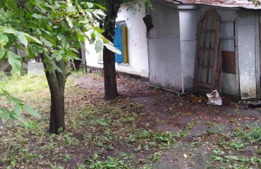 Zdjęcie Dom, na sprzedaż. Poltava Шевченковский (Октябрьский)