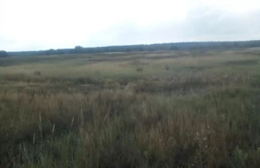 Фото Ділянка, продаж. Нижча Дубечня