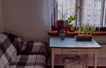 Photo One-Room flat, to rent. Poltava Подольский