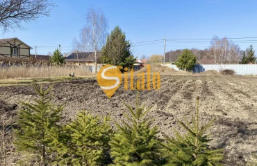 Photo Lot, for sale. Romankiv