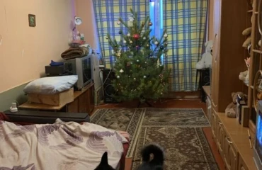 Photo Three-Room flat, for sale. Poltava Шевченковский (Октябрьский)