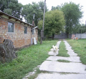 Foto 4. Comercial, en venta. Krasylivka