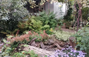 Foto Casa, en venta. Cherkasy