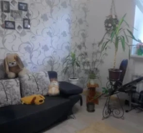 Photo 2. One-Room flat, to rent. Poltava Шевченковский (Октябрьский)