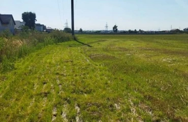 Photo Lot, for sale. Tarasivka