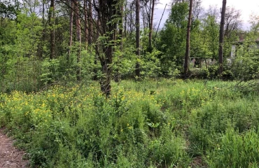 Фото Ділянка, продаж. Березенщина