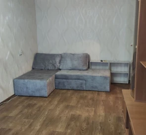 Photo 3. One-Room flat, to rent. Poltava Шевченковский (Октябрьский)