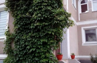 Фото Дом, продажа. Великодолинское