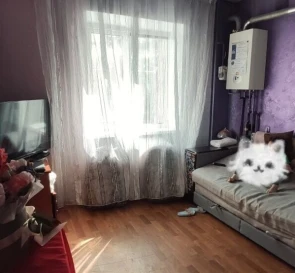 Fotografie 4. Două Camere apartament, de închiriat. Poltava Шевченковский (Октябрьский)