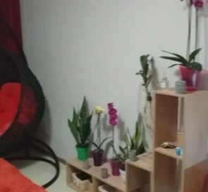 Photo 2. One-Room flat, to rent. Poltava Шевченковский (Октябрьский)